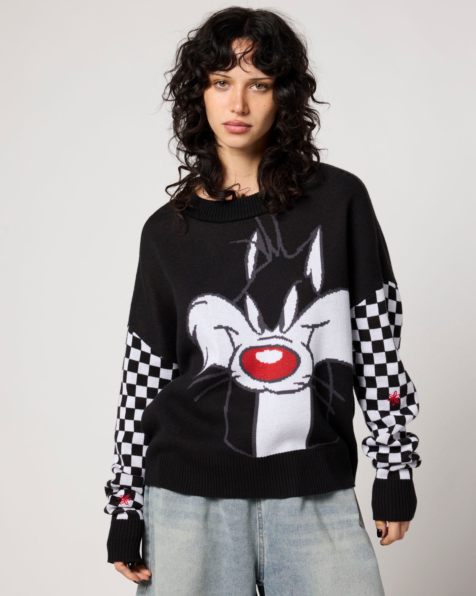 Looney Tunes Sylvester & Tweety Sweater – Samii Ryan