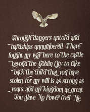 You Have No Power Over Me Oversized Tee