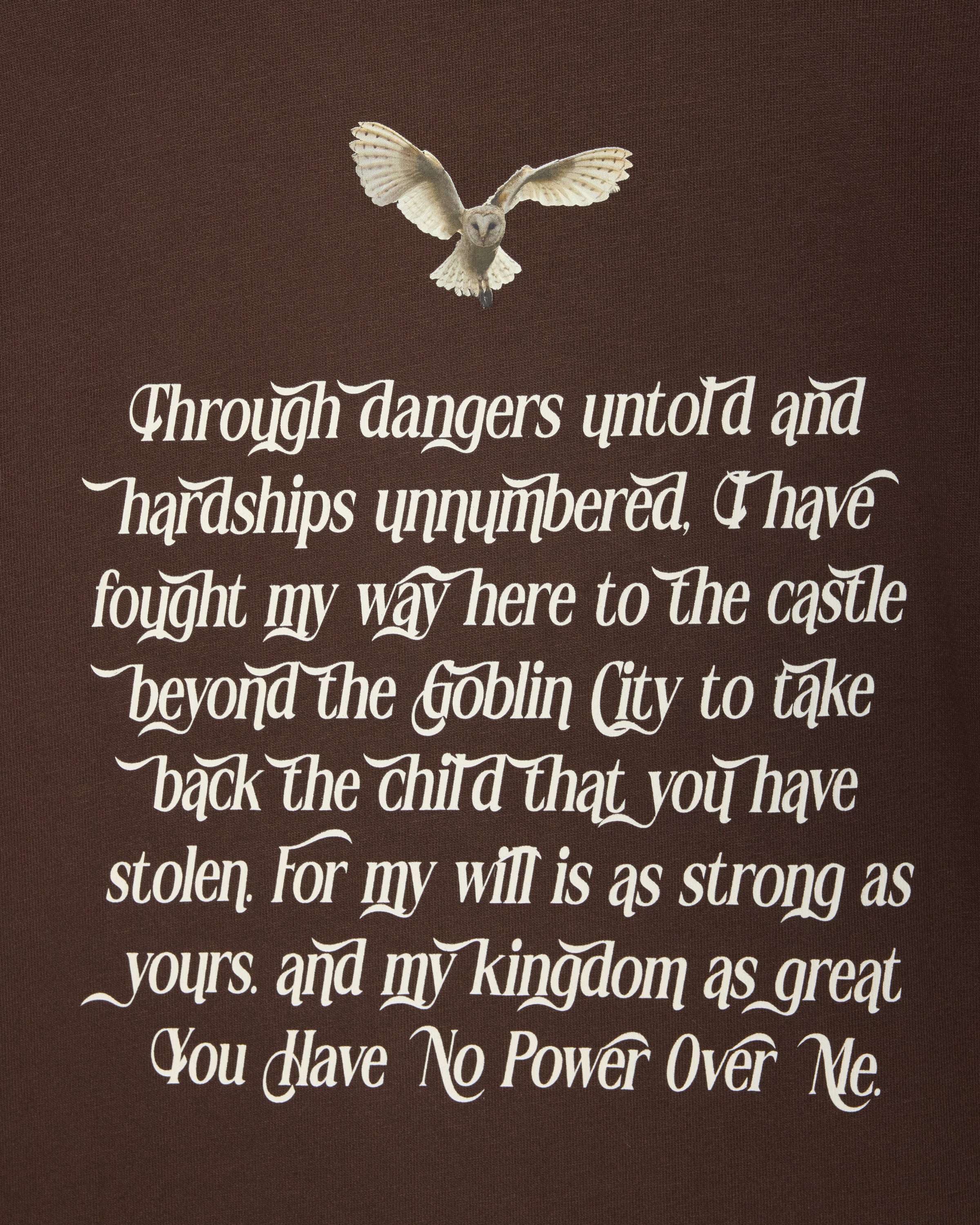 You Have No Power Over Me Oversized Tee