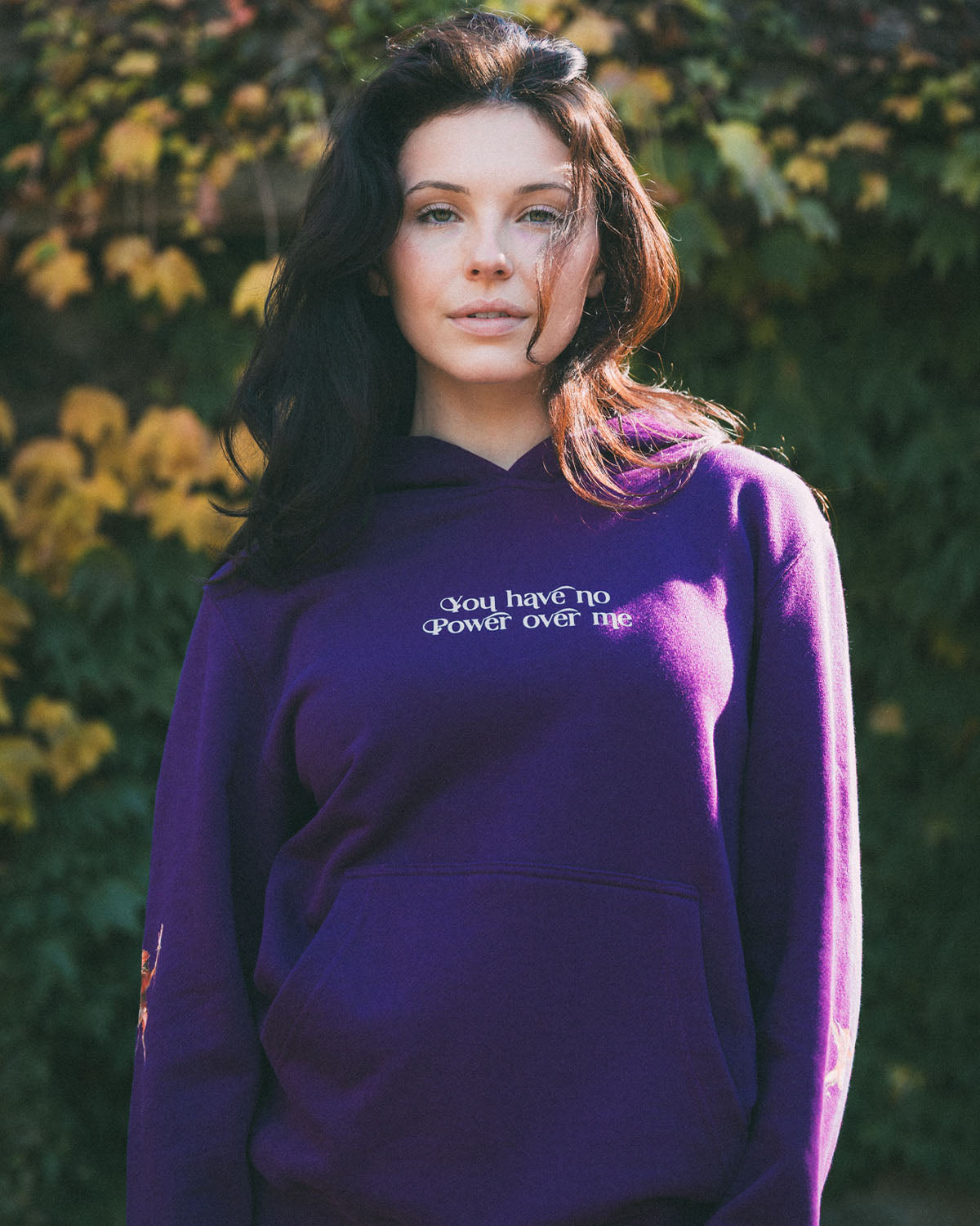 The Labyrinth Hoodie