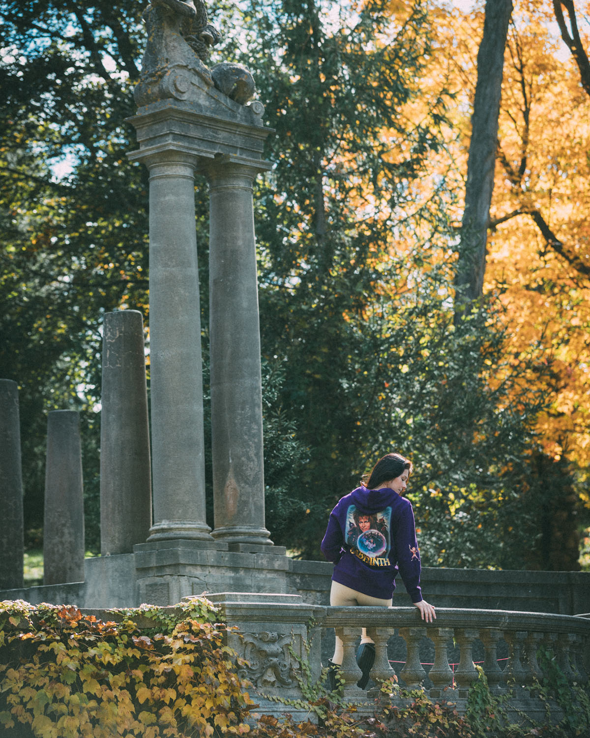 The Labyrinth Hoodie