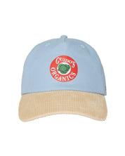 Fruit Sticker Hat