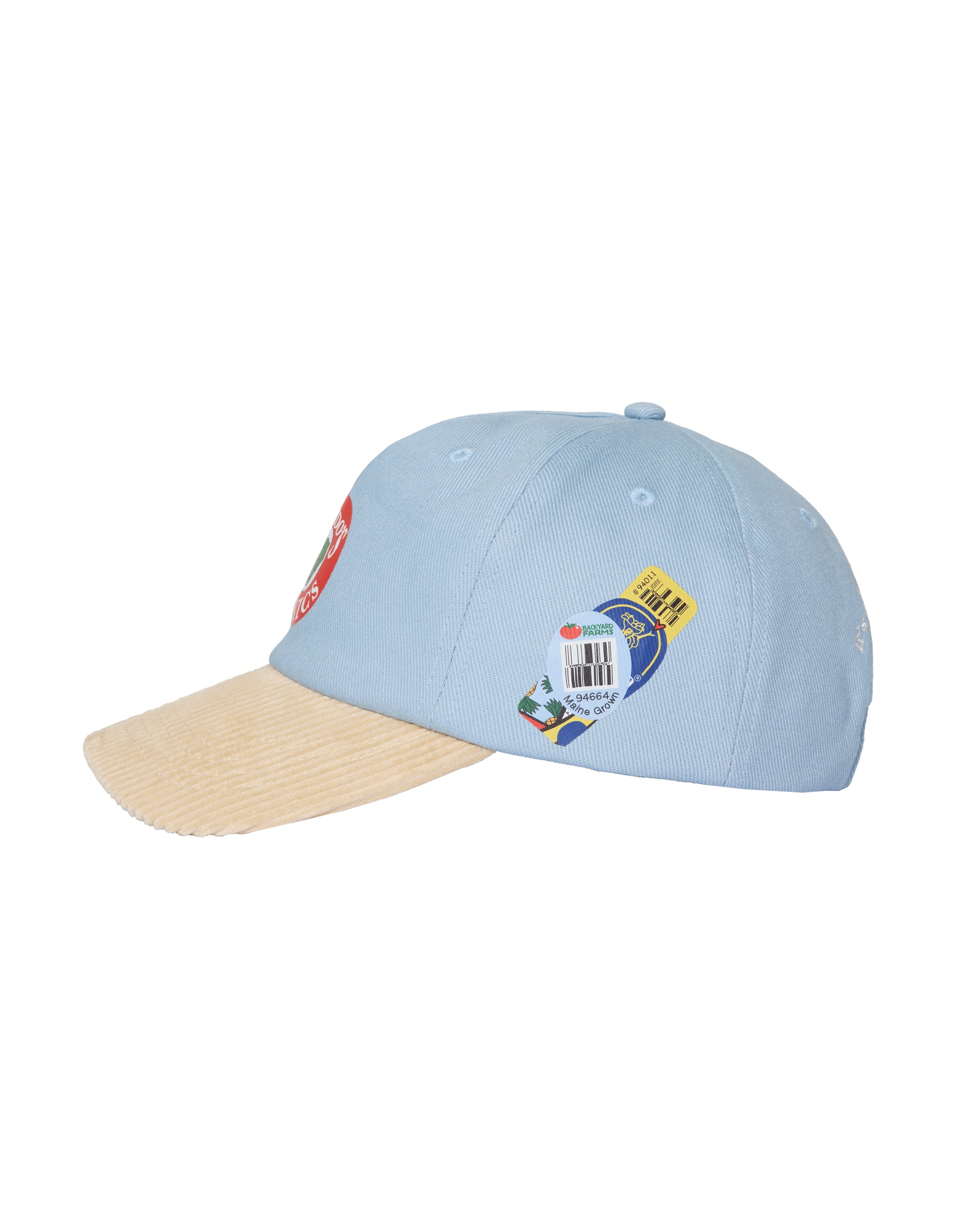 Fruit Sticker Hat