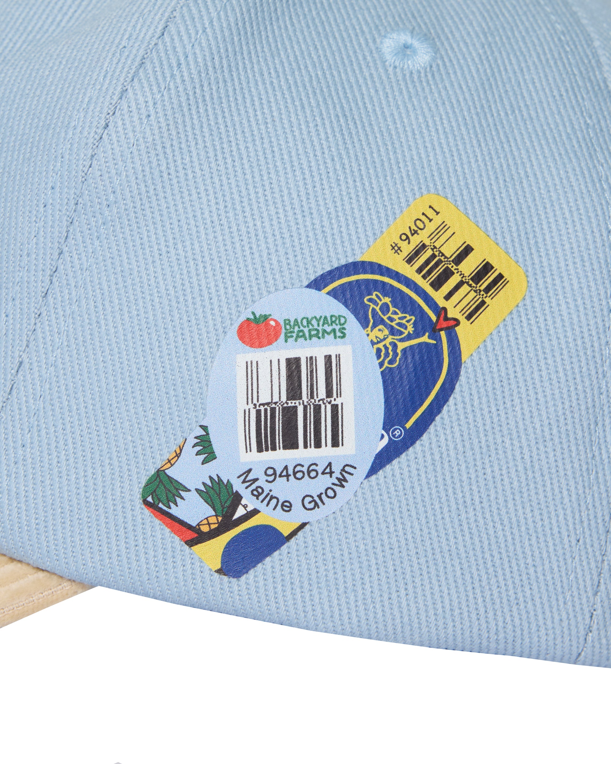 Fruit Sticker Hat