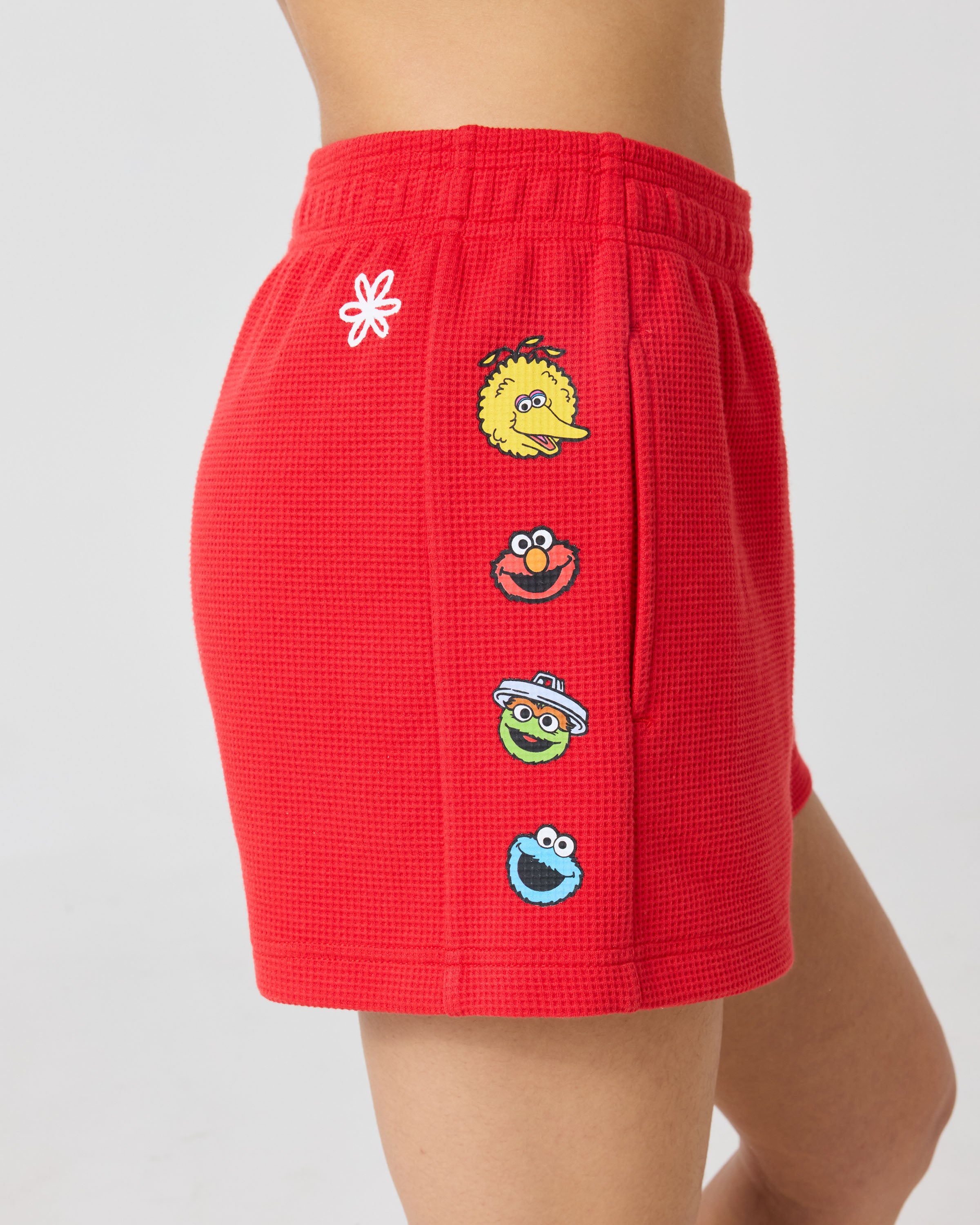 Sesame Street x Smiley – Samii Ryan