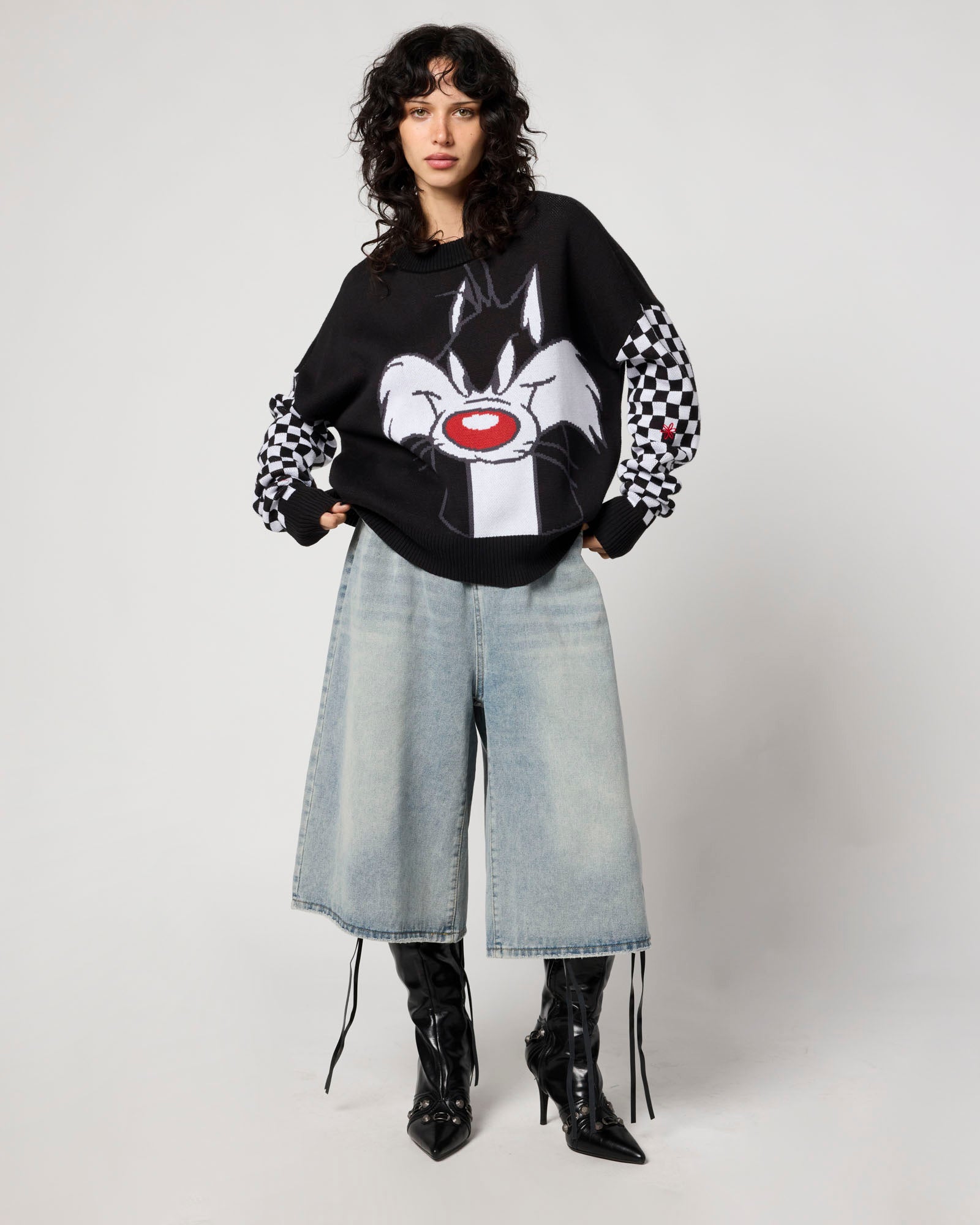 Looney Tunes Sylvester & Tweety Sweater