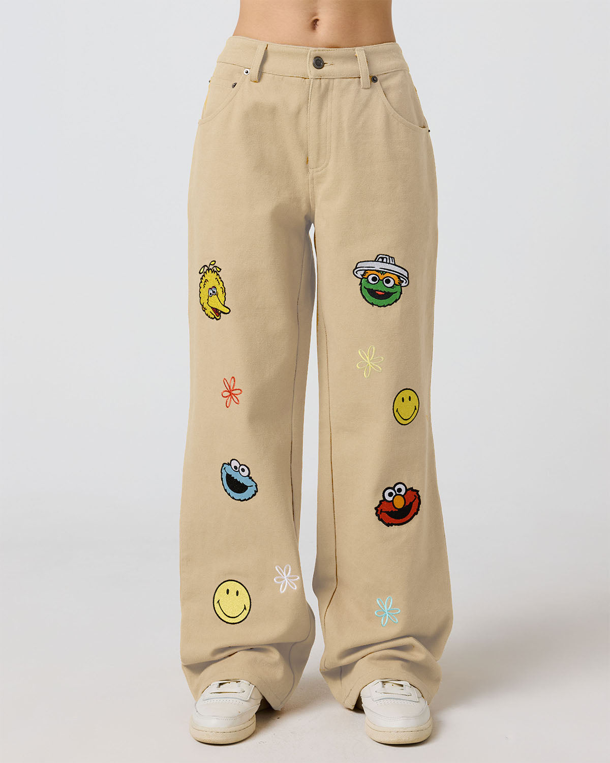 Sesame Street  The Happy Pants, Canvas