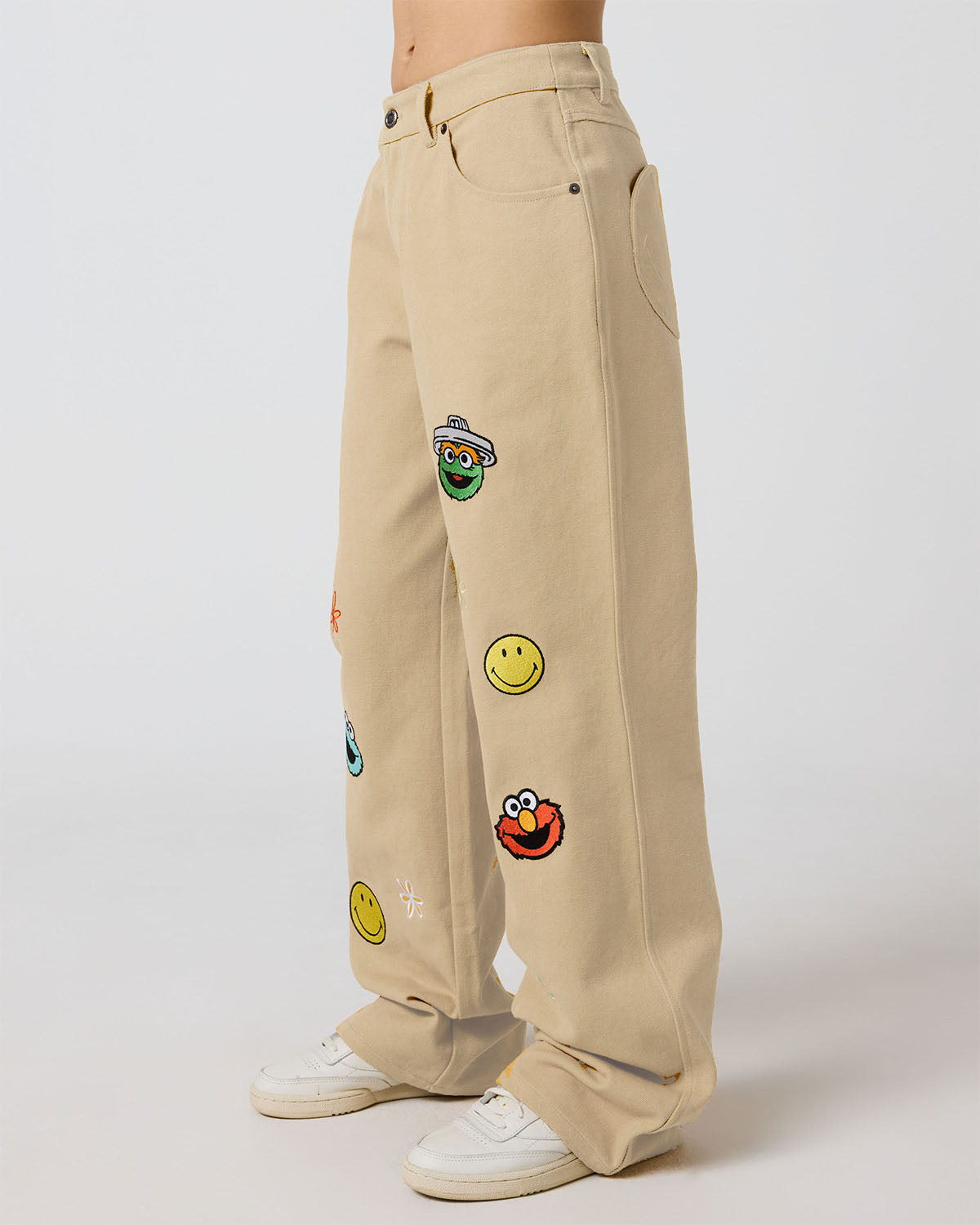 Sesame Street  The Happy Pants, Canvas