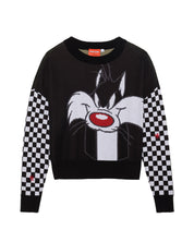Looney Tunes Sylvester & Tweety Sweater