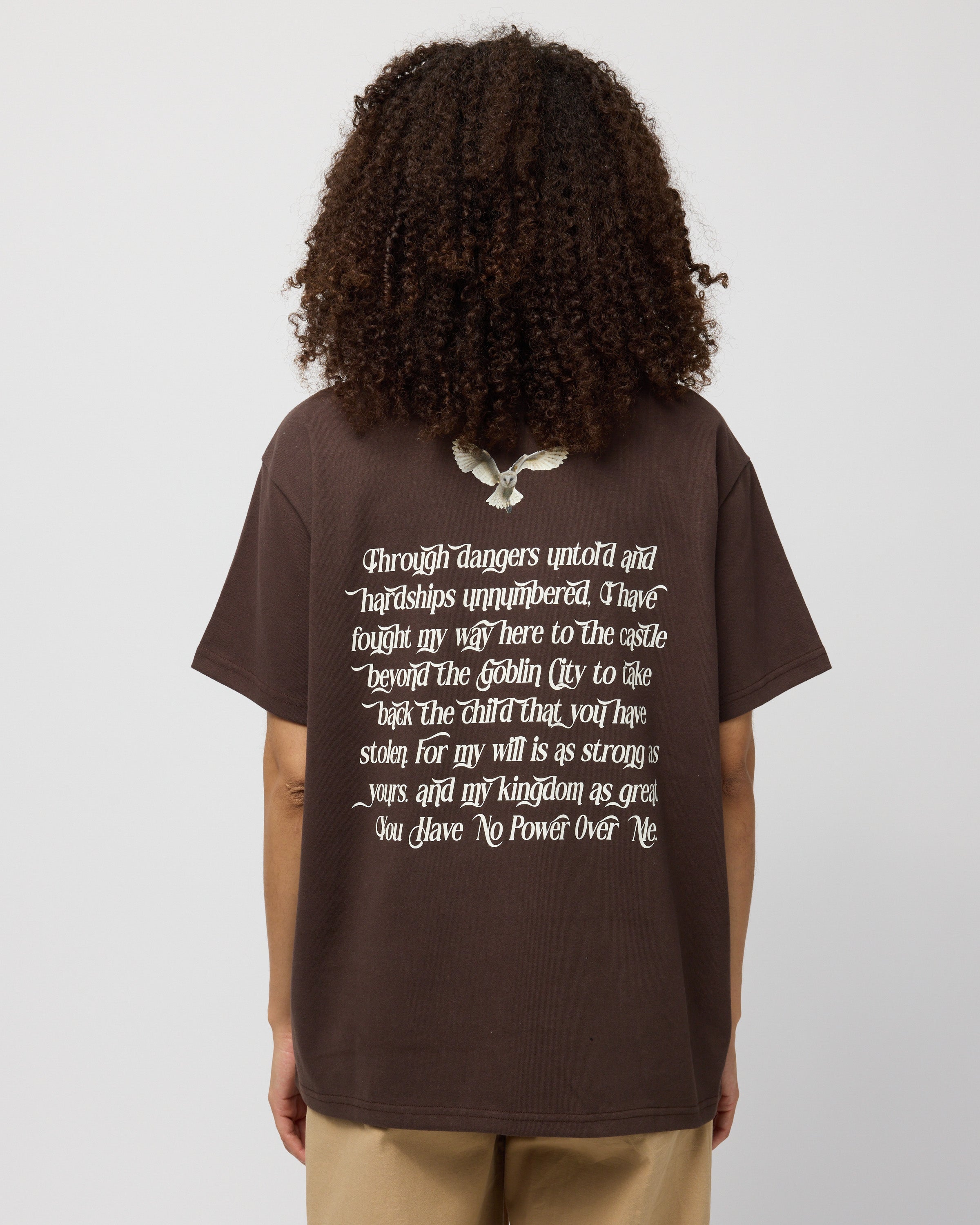 You Have No Power Over Me Oversized Tee