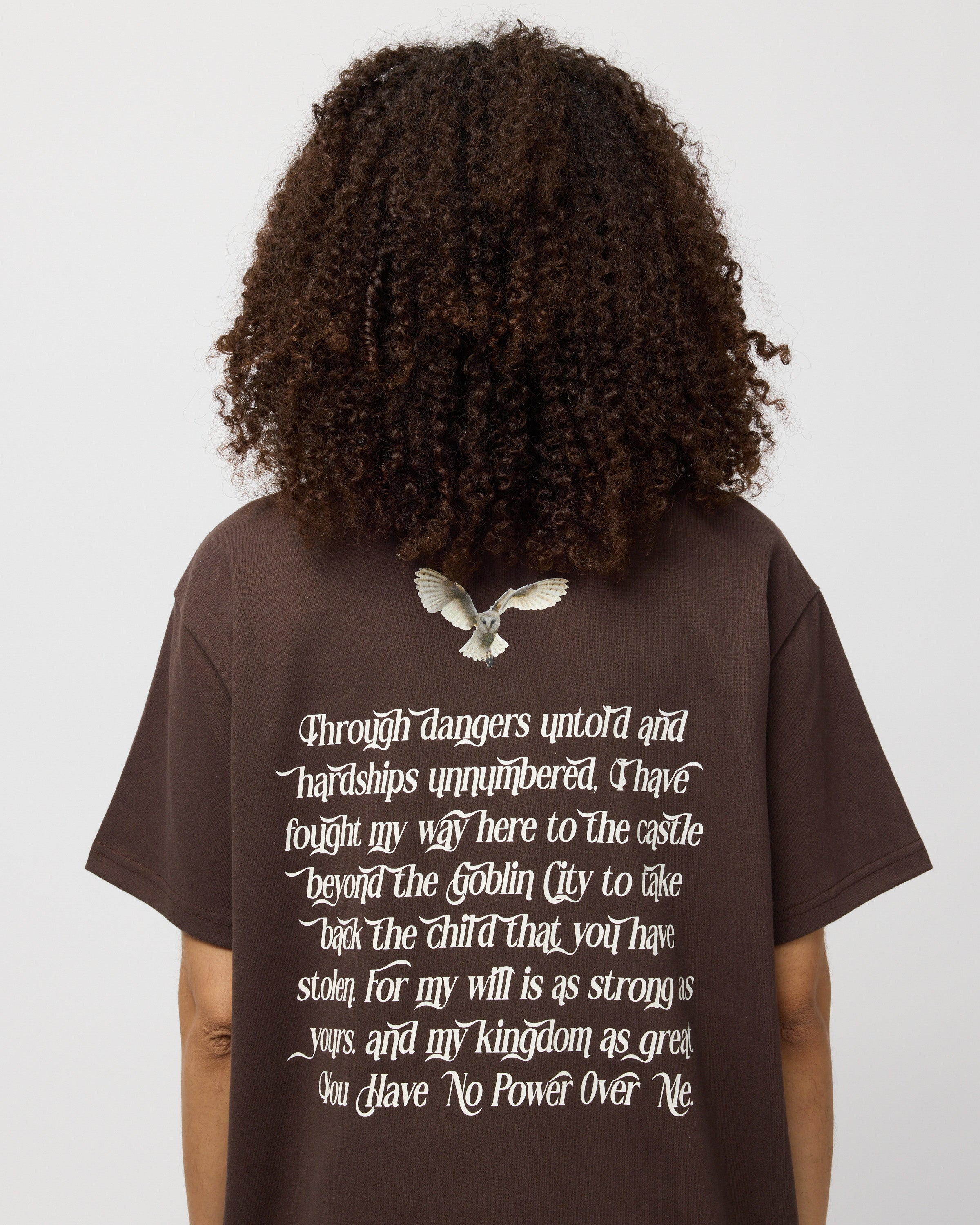 You Have No Power Over Me Oversized Tee