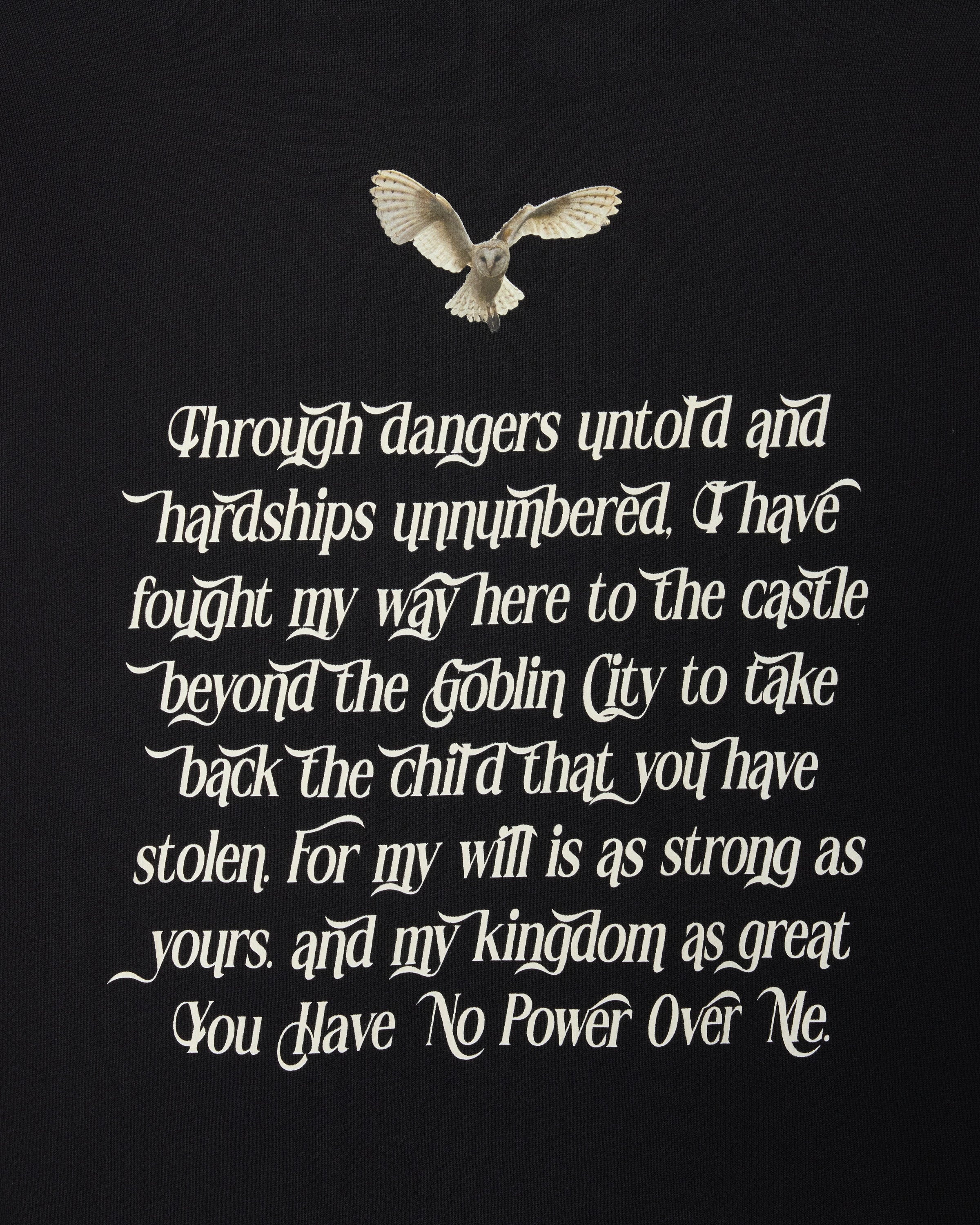 You Have No Power Over Me Hoodie