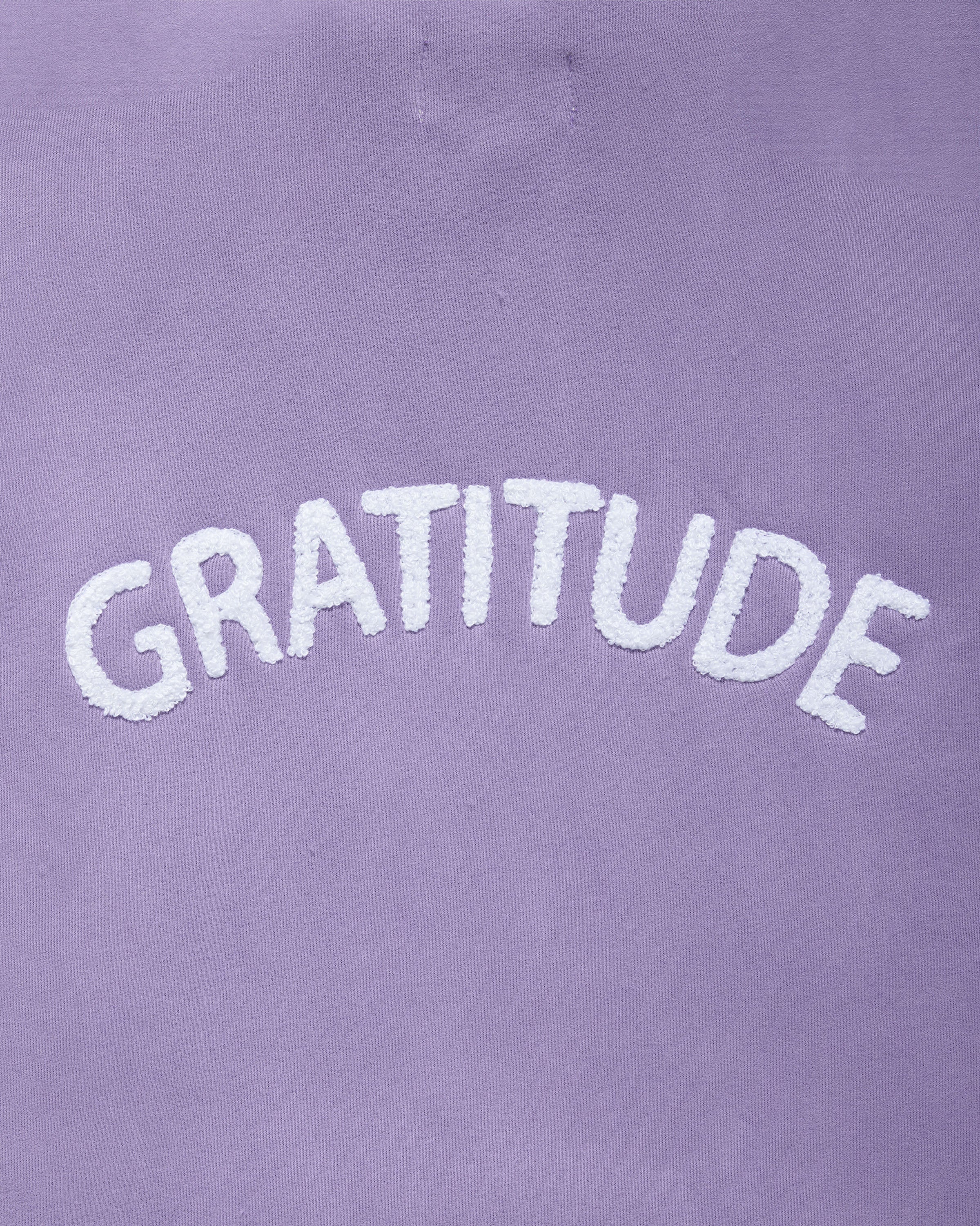 Mantra Gratitude Hoodie