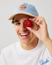 Fruit Sticker Hat