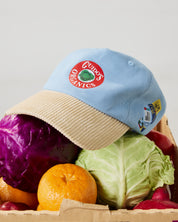 Fruit Sticker Hat
