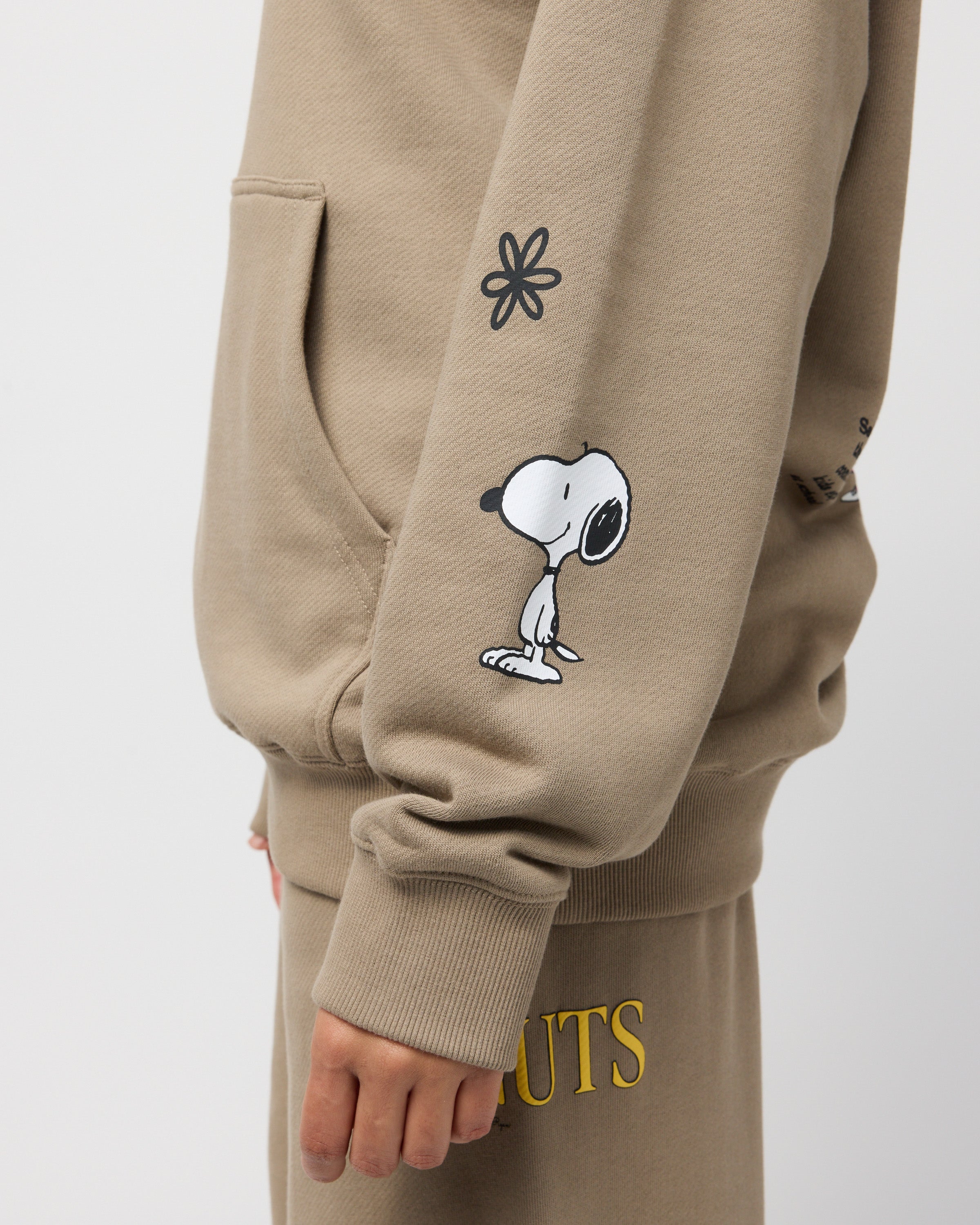 Peanuts The Whole Crew Hoodie